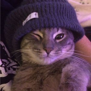 Meet your Posher, Little